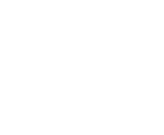 Evolution games at 4kings Slots Casino